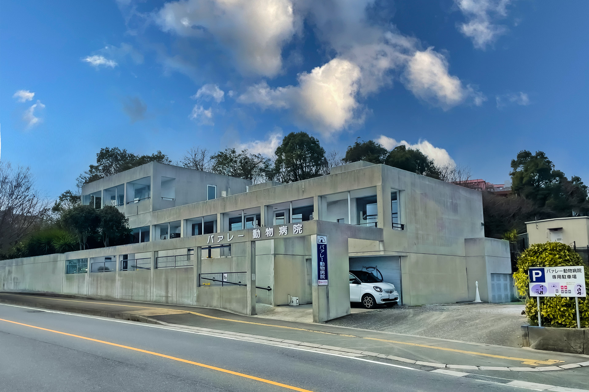 バァレー動物病院_外観