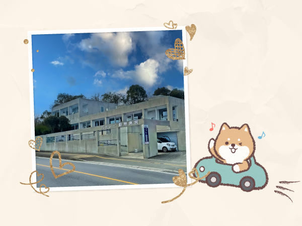 バァレー動物病院_外観_駐車場