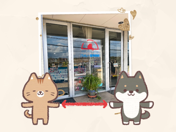 バァレー動物病院_入口_ドア