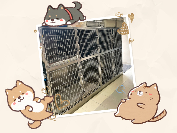 バァレー動物病院外観_院内_入院室