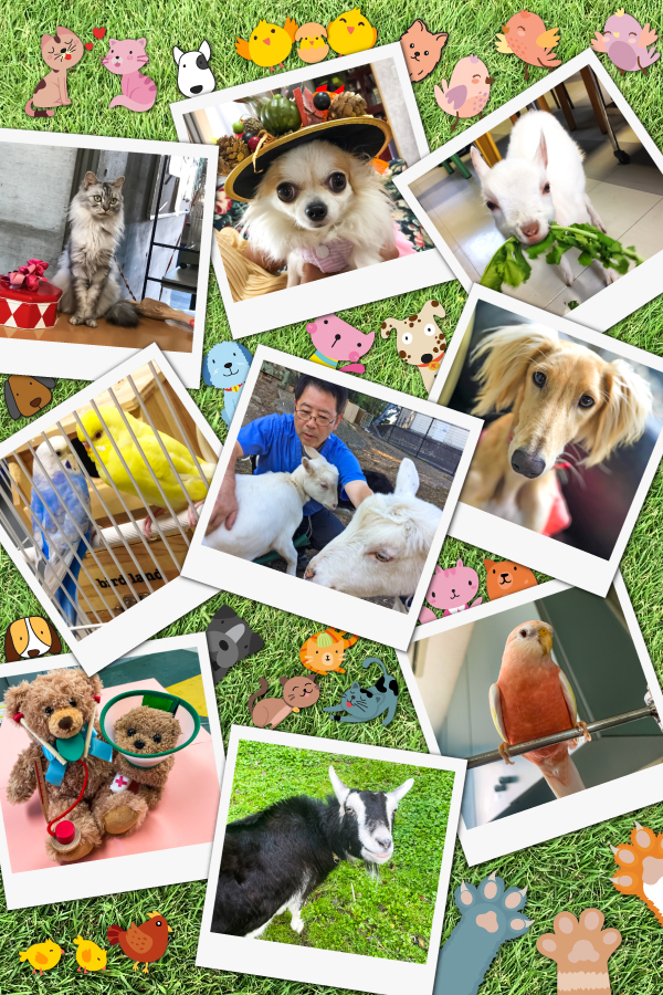 バァレー動物病院_ゆかいな仲間たち