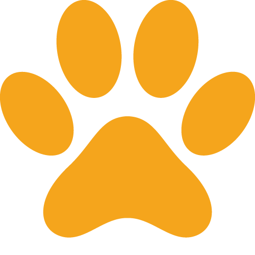 バァレー動物病院_肉球