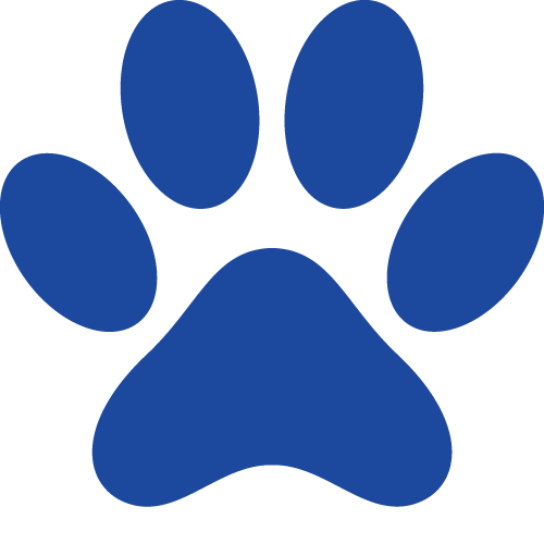 バァレー動物病院_肉球