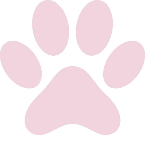 バァレー動物病院_肉球_みるペット新規登録