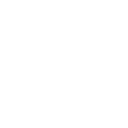 バァレー動物病院_肉球