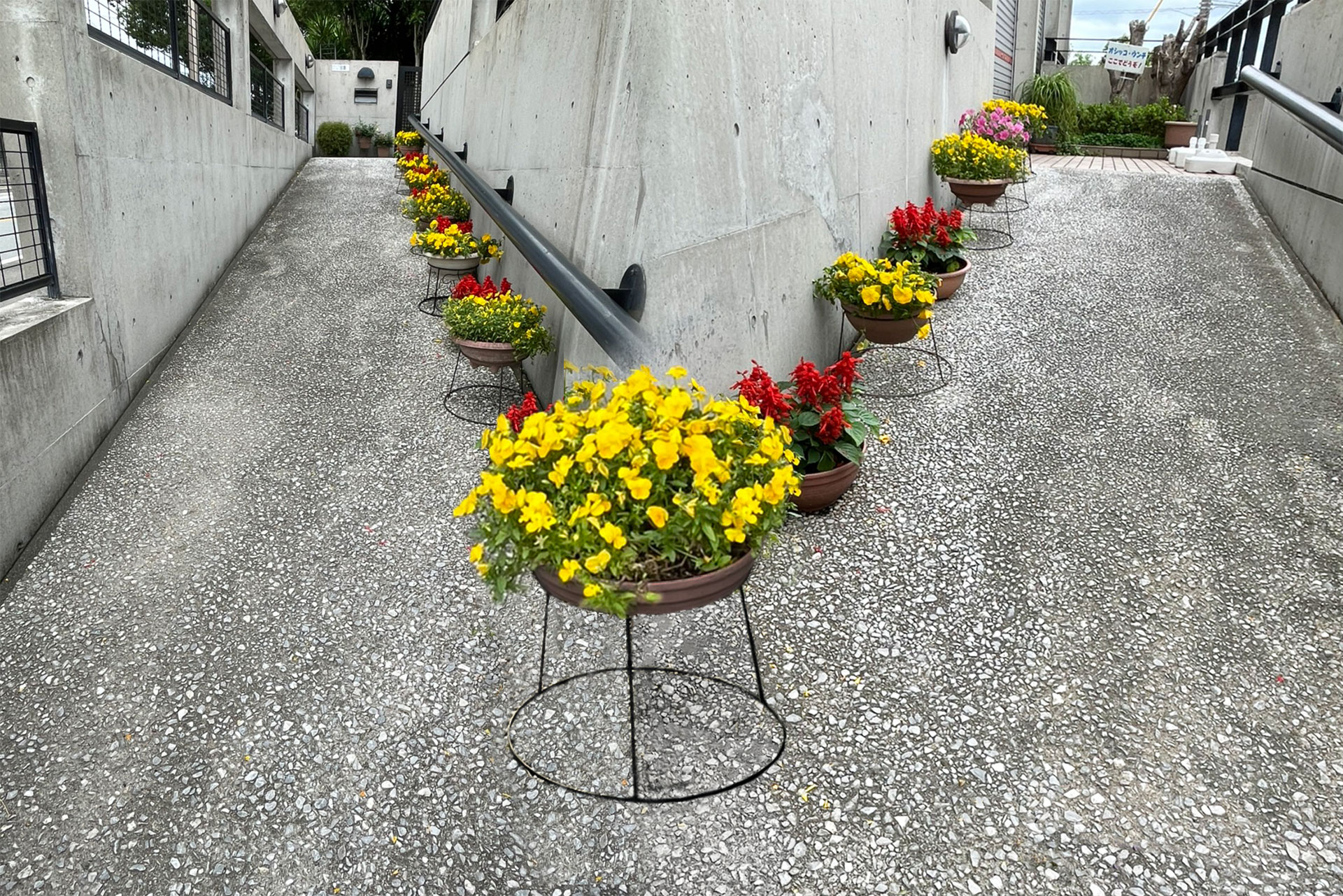 バァレー動物病院_入り口_スロープ