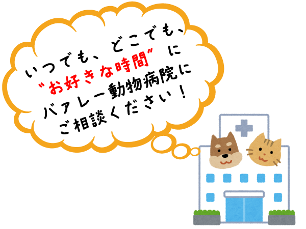 いつでも、どこでも、お好きな時間にバァレー動物病院にご相談ください。オンライン診療・相談　みるペット