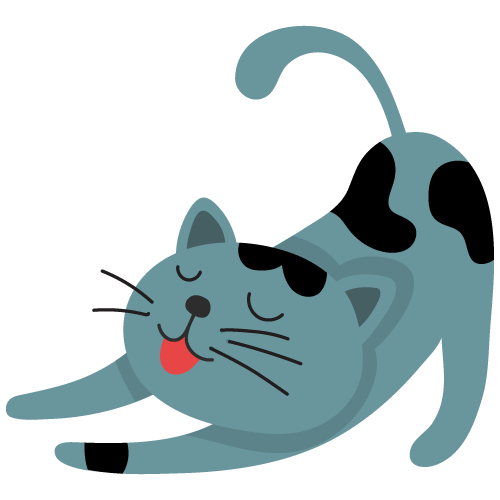 バァレー動物病院_ネコ