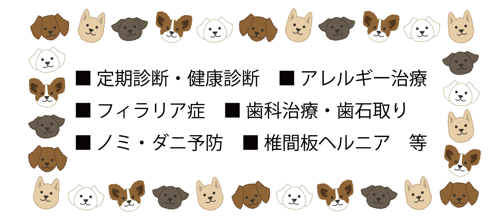 定期診断・健康診断・アレルギー治療・フィラリア症・歯科治療・歯石取り・ノミ・ダニ予防・椎間板ヘルニア　など