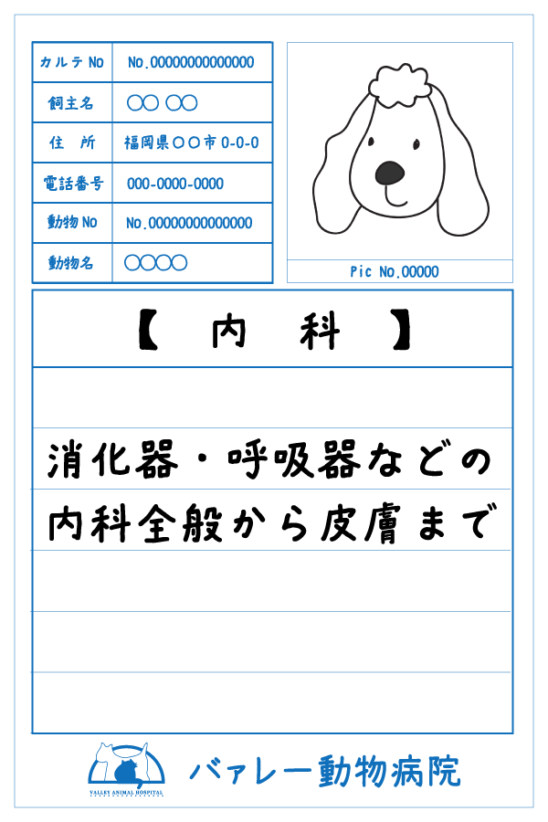 内科　消化器・呼吸器などの内科全般から皮膚まで