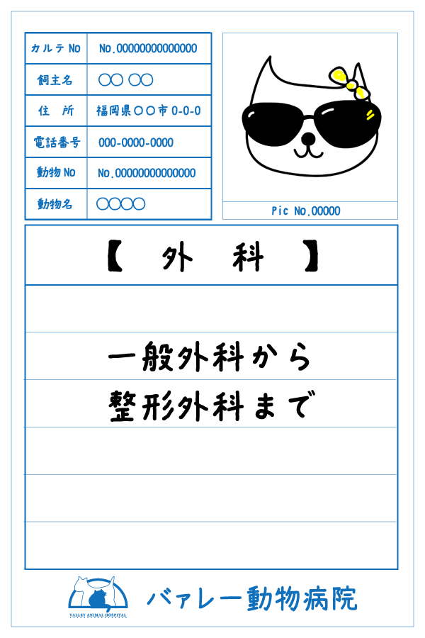 外科　一般外科から整形外科まで