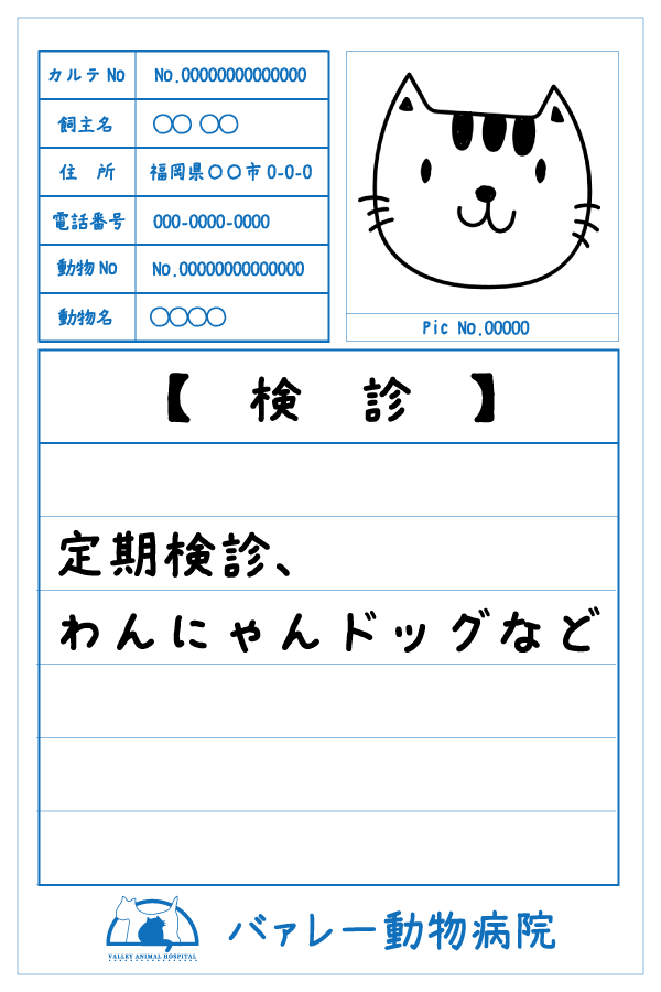 検診　定期検診、わんにゃんドッグなど