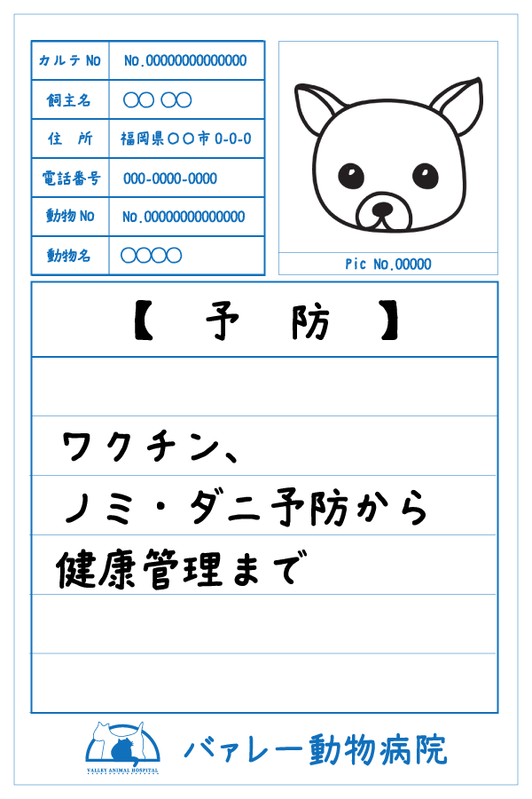予防　ワクチン、ノミ・ダニ予防から健康管理まで